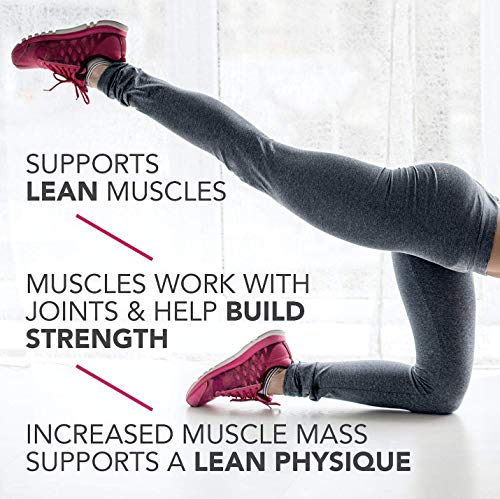 Pure Protein Bars, High Protein, Nutritious Snacks to Support Energy, Low Sugar, Gluten Free, Birthday Cake, 1.76 oz, Pack of 12