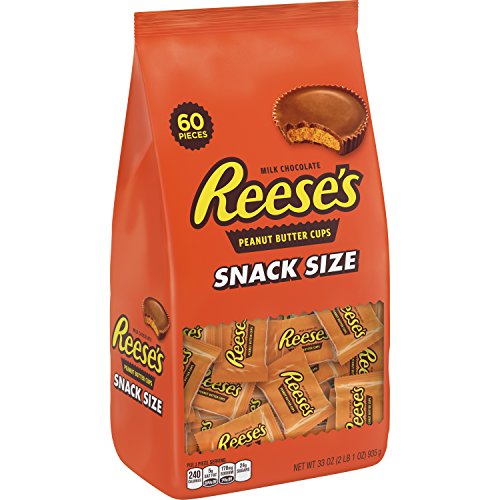 Debby in Alaska:  Reese's Chocolate Candy, Snack Size Peanut Butter Cups, 33 Ounce